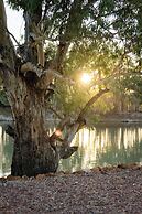 Lake Victoria Station Lodge