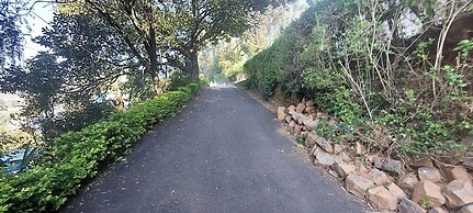 Check Inn Today Resort