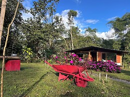Green Bamboo Lodge