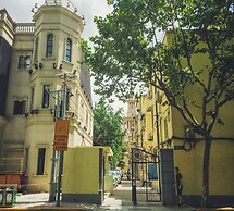 Shanghai Hills & Gefii Sixteen Cats