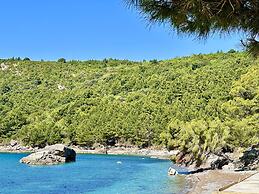 Guest House West Gate