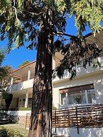 Oasi Venus Perugia Assisi Affittacamere
