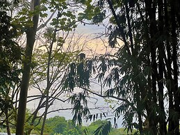 Zen Zaru Beautiful Hidden Hotel