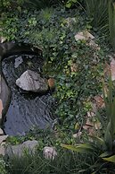 Hotel Holistico Maxali