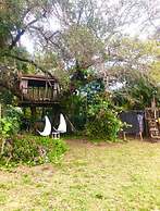 Miami Pool Cottage in El Portal