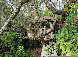 Miami Pool Cottage in El Portal