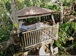 Miami Pool Cottage in El Portal