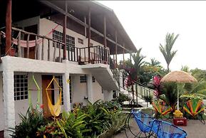 Mi Zaru Sea View Animal Paradise