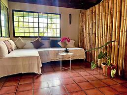 Mi Zaru Sea View Animal Paradise