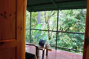 Mi Zaru Sea View Animal Paradise