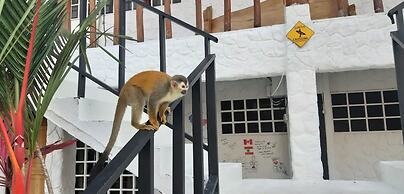 Mi Zaru Sea View Animal Paradise