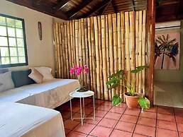 Mi Zaru Sea View Animal Paradise