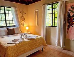 Mi Zaru Sea View Animal Paradise