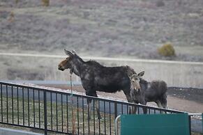 Glenn Haven by Cloud Dream Homes