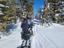 Glenn Haven by Cloud Dream Homes