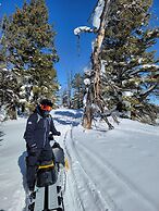 Glenn Haven by Cloud Dream Homes