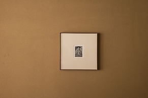 Jingdezhen Xingshan Shiwai Dongliyuan