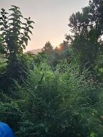 Room-serene Arambol Retreat - Private St
