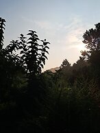 Room-serene Arambol Retreat - Private St