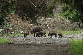 Plengkung Lodge G-land