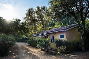 Fazenda Santa Thereza - Itapira