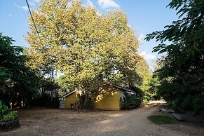 Fazenda Santa Thereza - Itapira