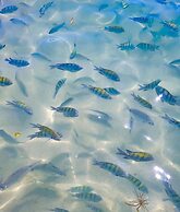 Cobertura com Piscina na praia de Bombas