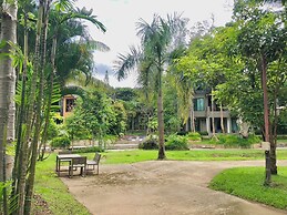 Tree Scape Mountain View Resort