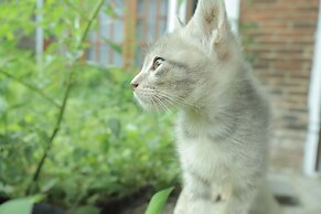 Chrisma Bed and Breakfast