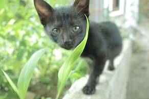 Chrisma Bed and Breakfast