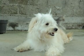 Chrisma Bed and Breakfast