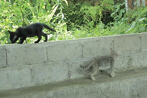 Chrisma Bed and Breakfast