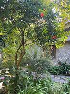 Samar Niwas Dehradun