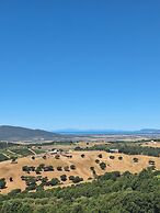 Casale Oleo