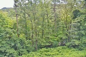 Bair Necessities relaxing Cabin