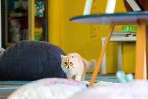 BJ&Radisson SeaView Hotel