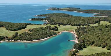 Cozy Apartment With Patio and Parking