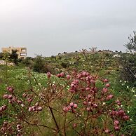 AL-Bustan House & Umm Qais