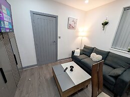 Spacious and Comfortable Modern Rooms