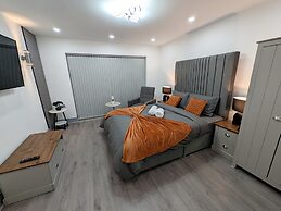 Spacious and Comfortable Modern Rooms