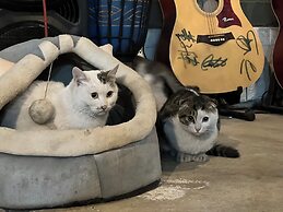 ShangriLa chudengshuo homestay