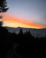 The Golden Leaves Cafe And Cottages