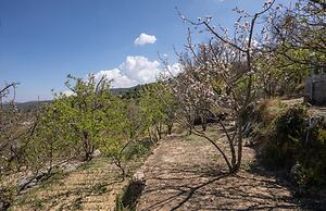 Shree Parijat Resort