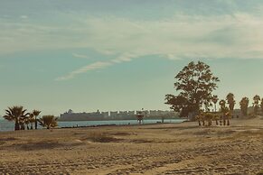 TAIGA Puerto Santa Maria