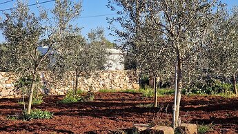 Tenuta Alle Macchie Swimming Pool 4 Guests two Bedrooms