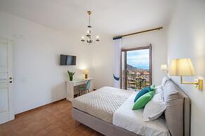 IL vigneto di nonno Pietro