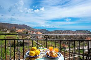 IL vigneto di nonno Pietro