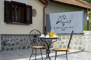 IL vigneto di nonno Pietro