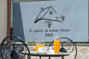 IL vigneto di nonno Pietro