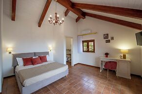 IL vigneto di nonno Pietro